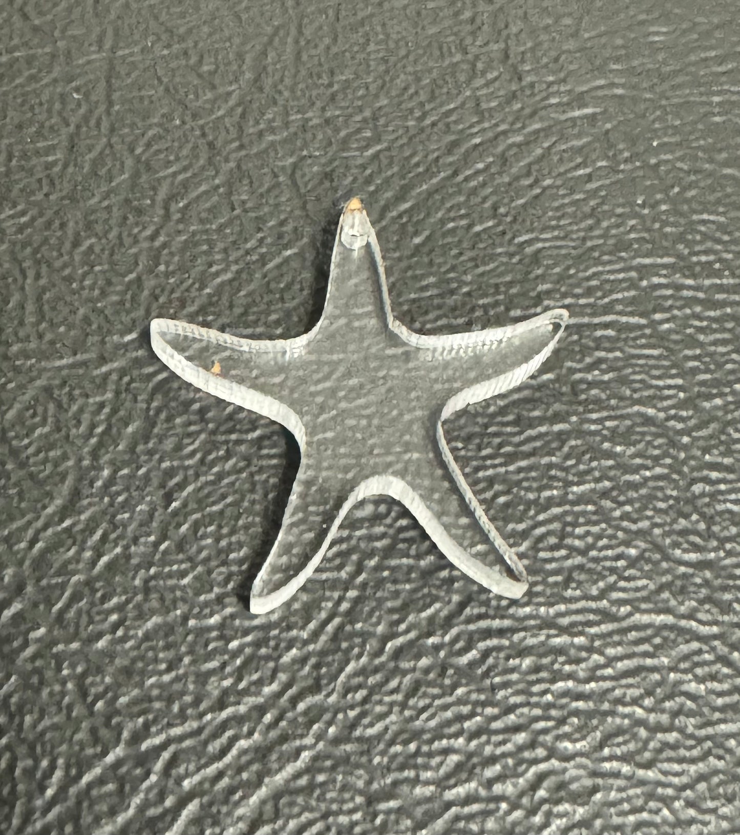 Acrylic Star Fish