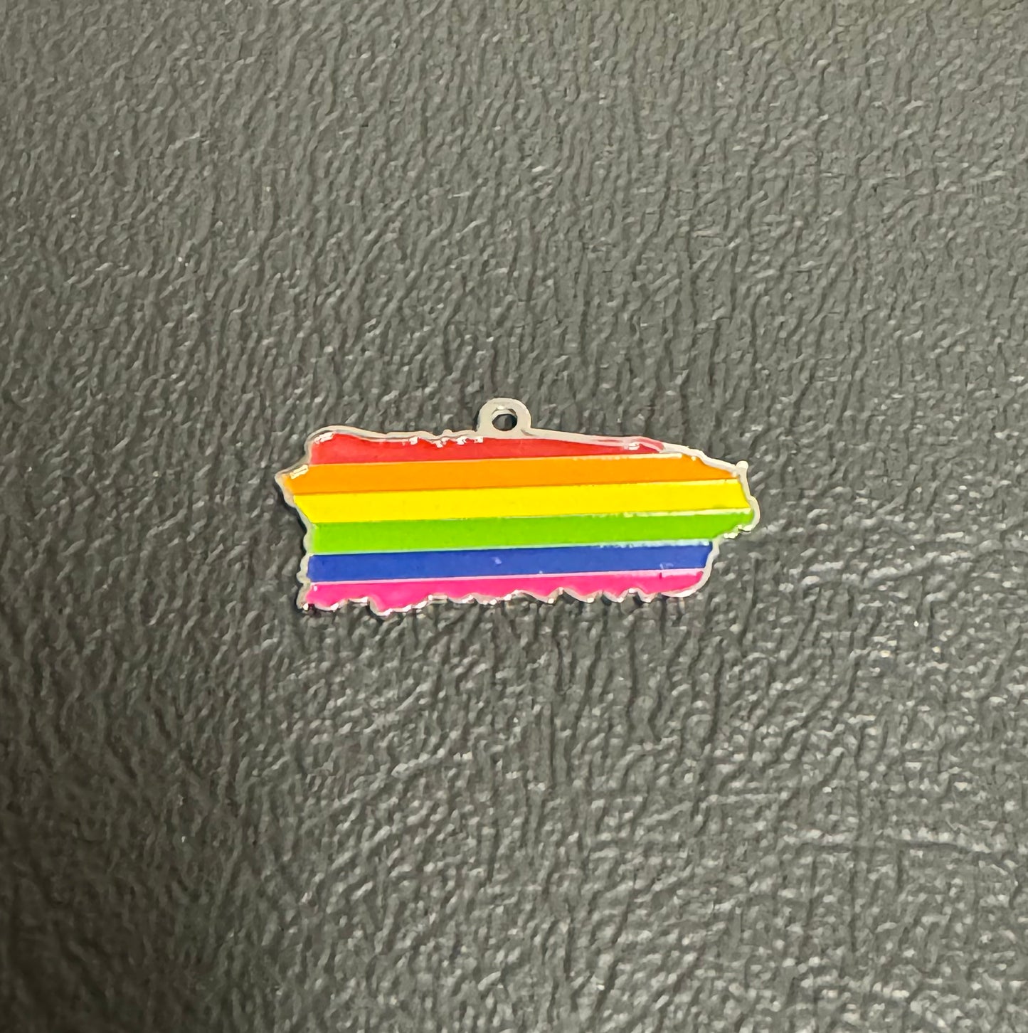 Stainless Steel PR Colors Map Charm