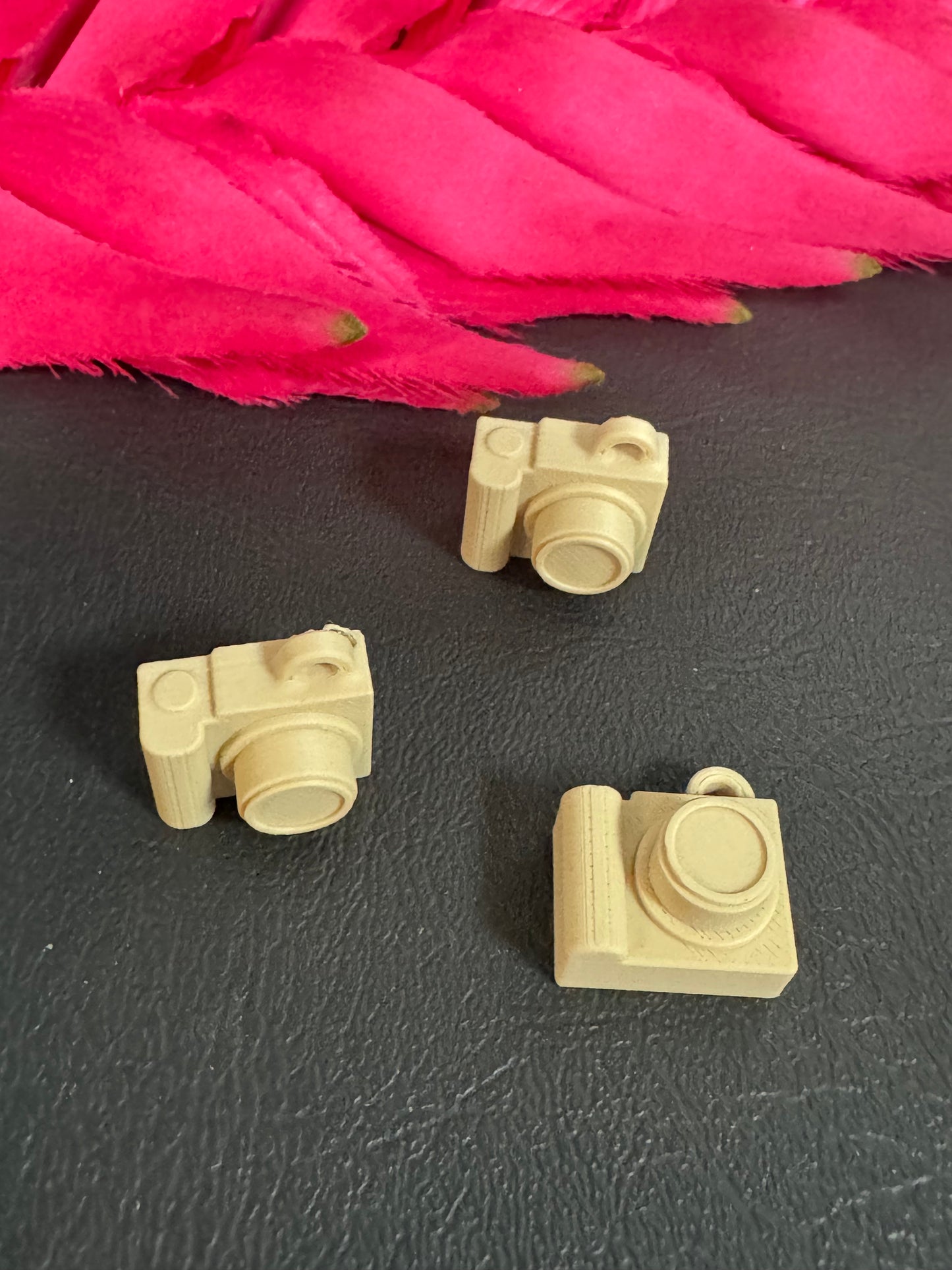 Plastic Camera