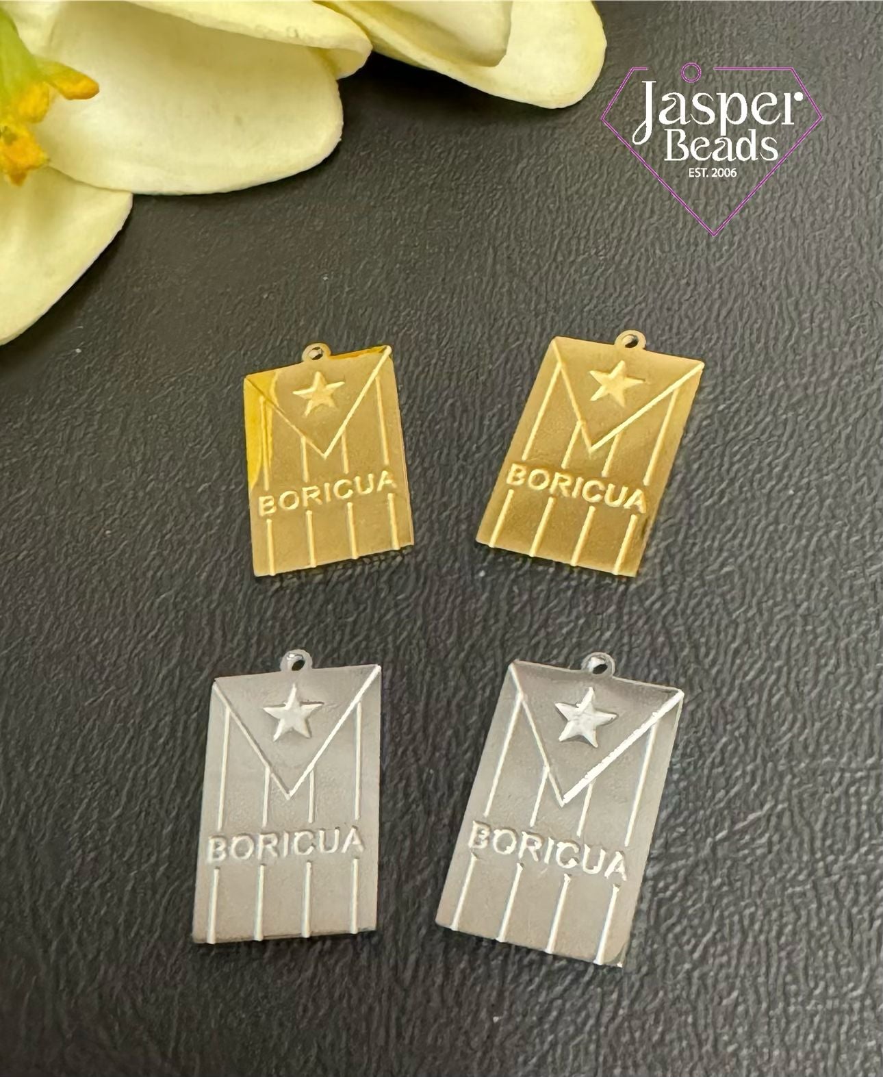 Stainless Steel PR Flag Charm