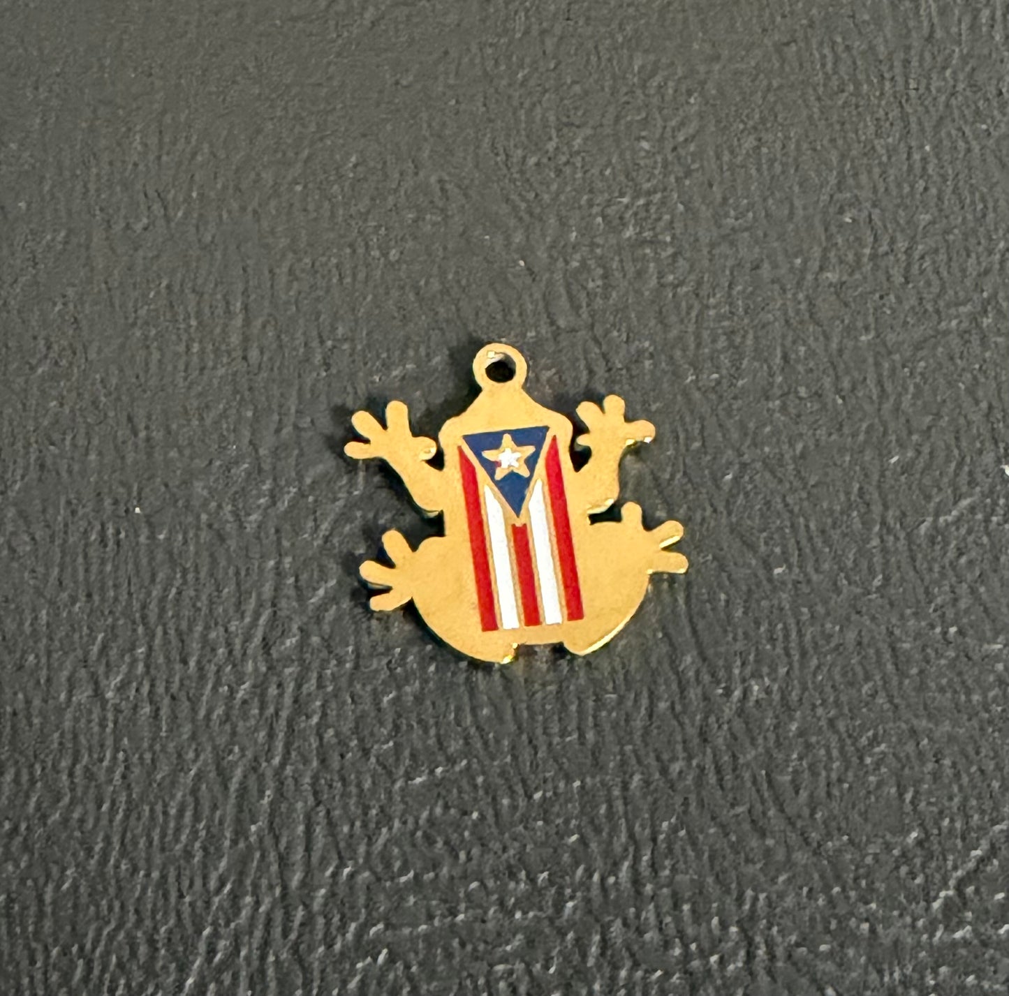 Stainless steel coqui with flag charm