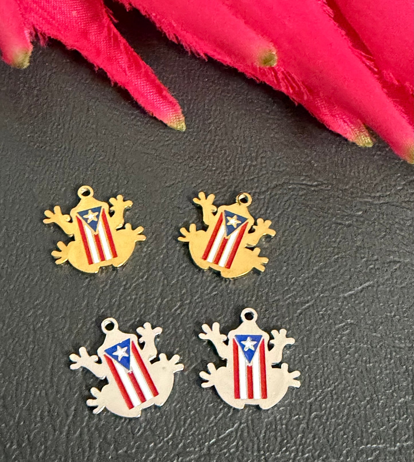 Stainless steel coqui with flag charm